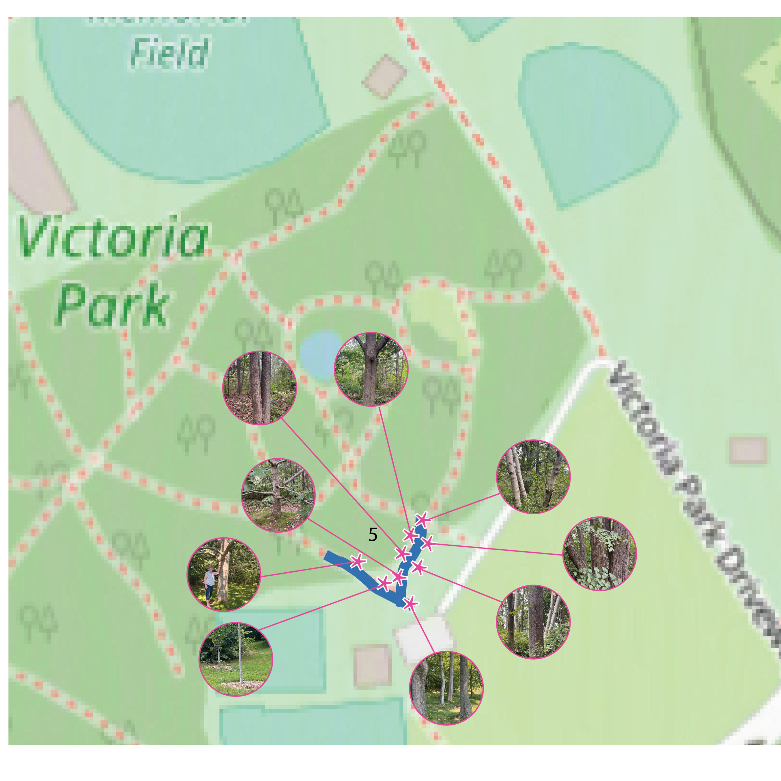 Map insert